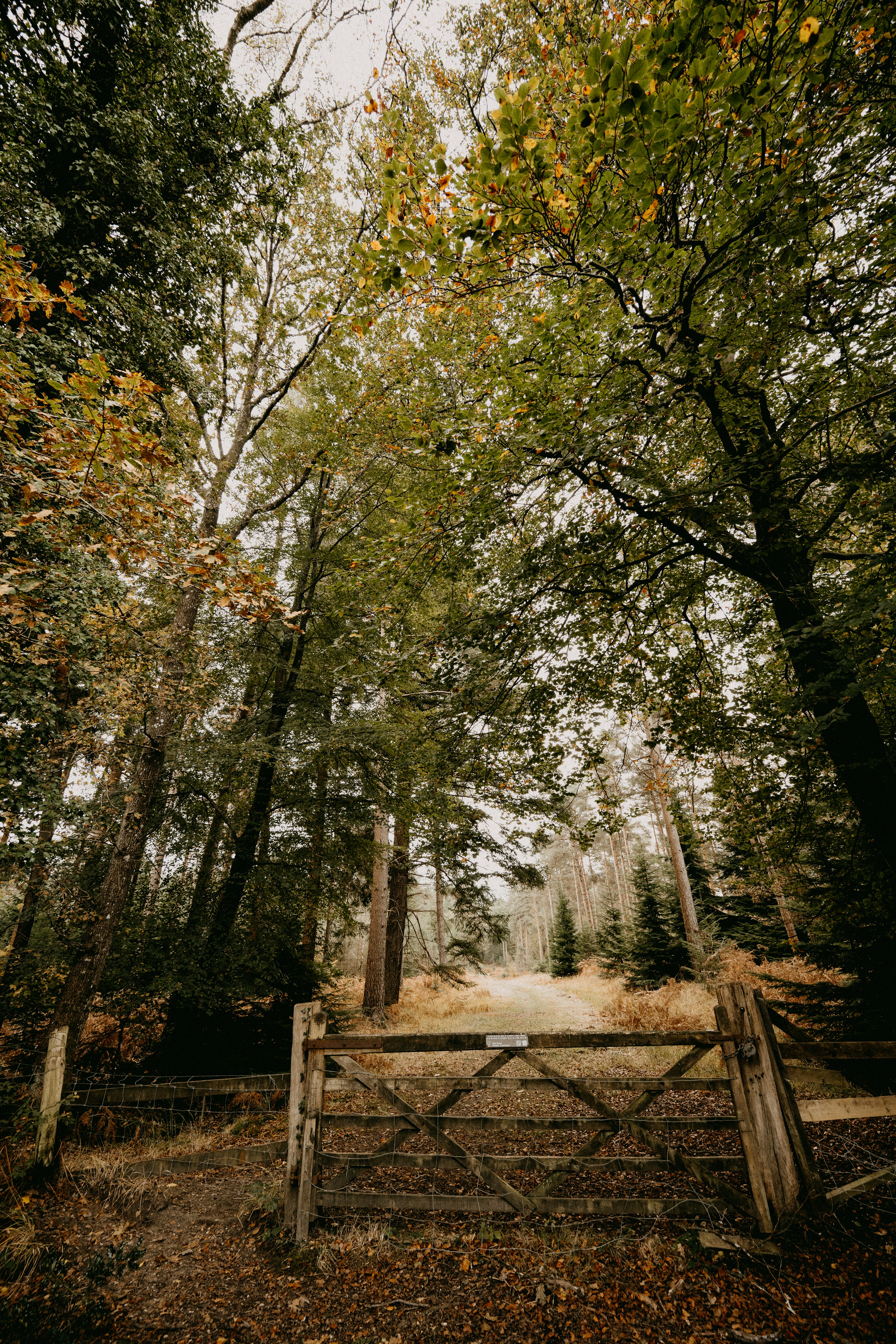 Photo by anniespratt