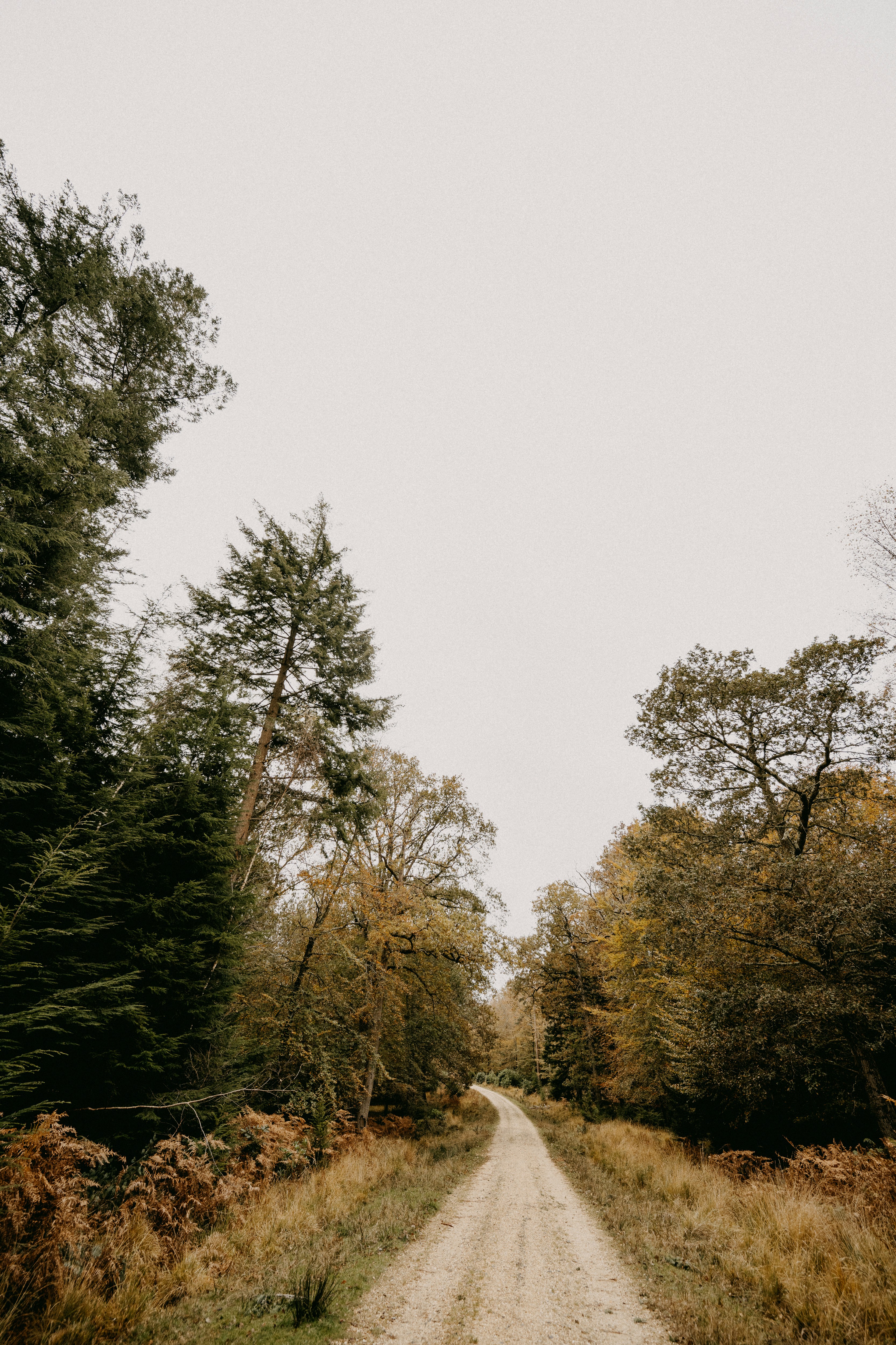 Photo by anniespratt