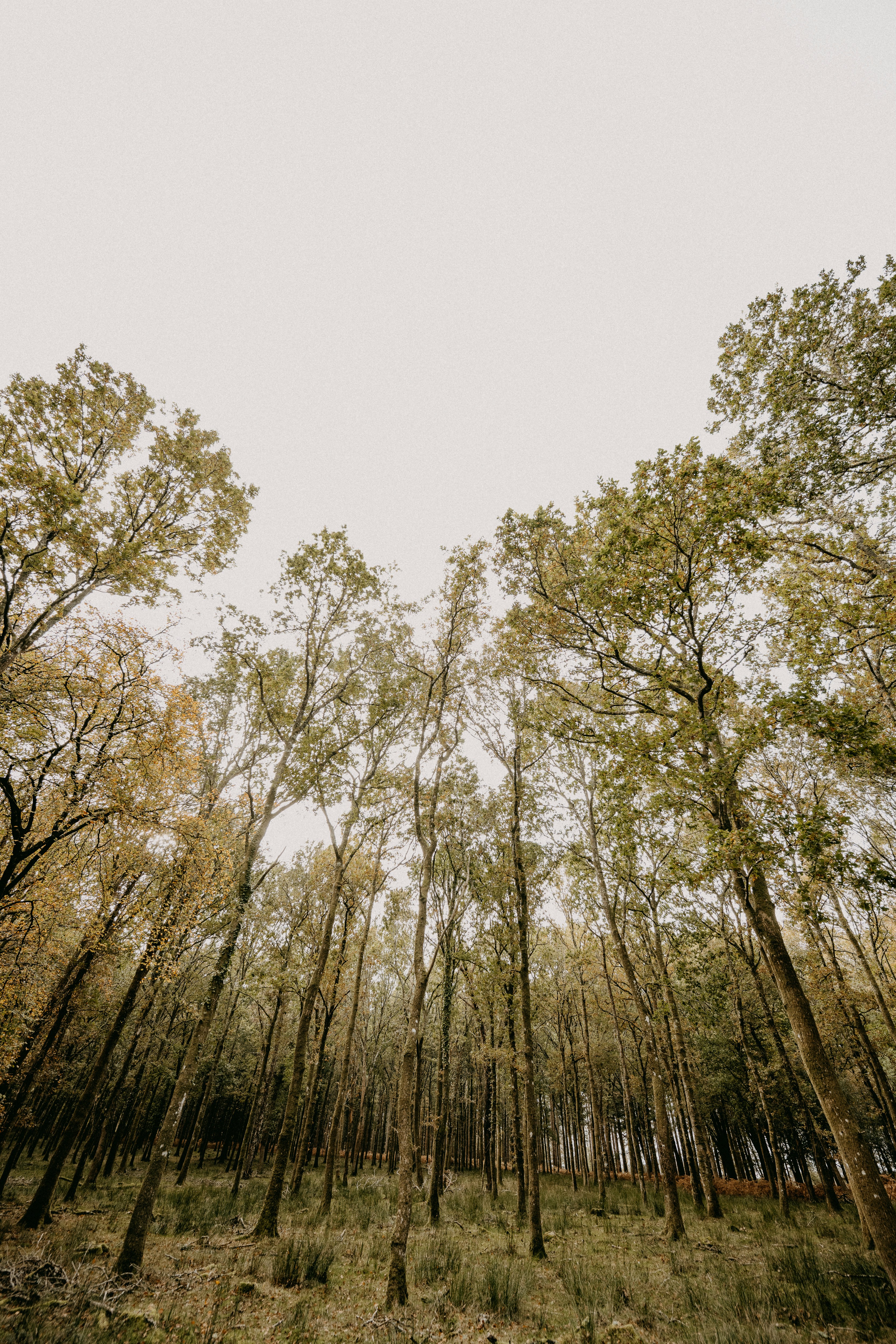 Photo by anniespratt