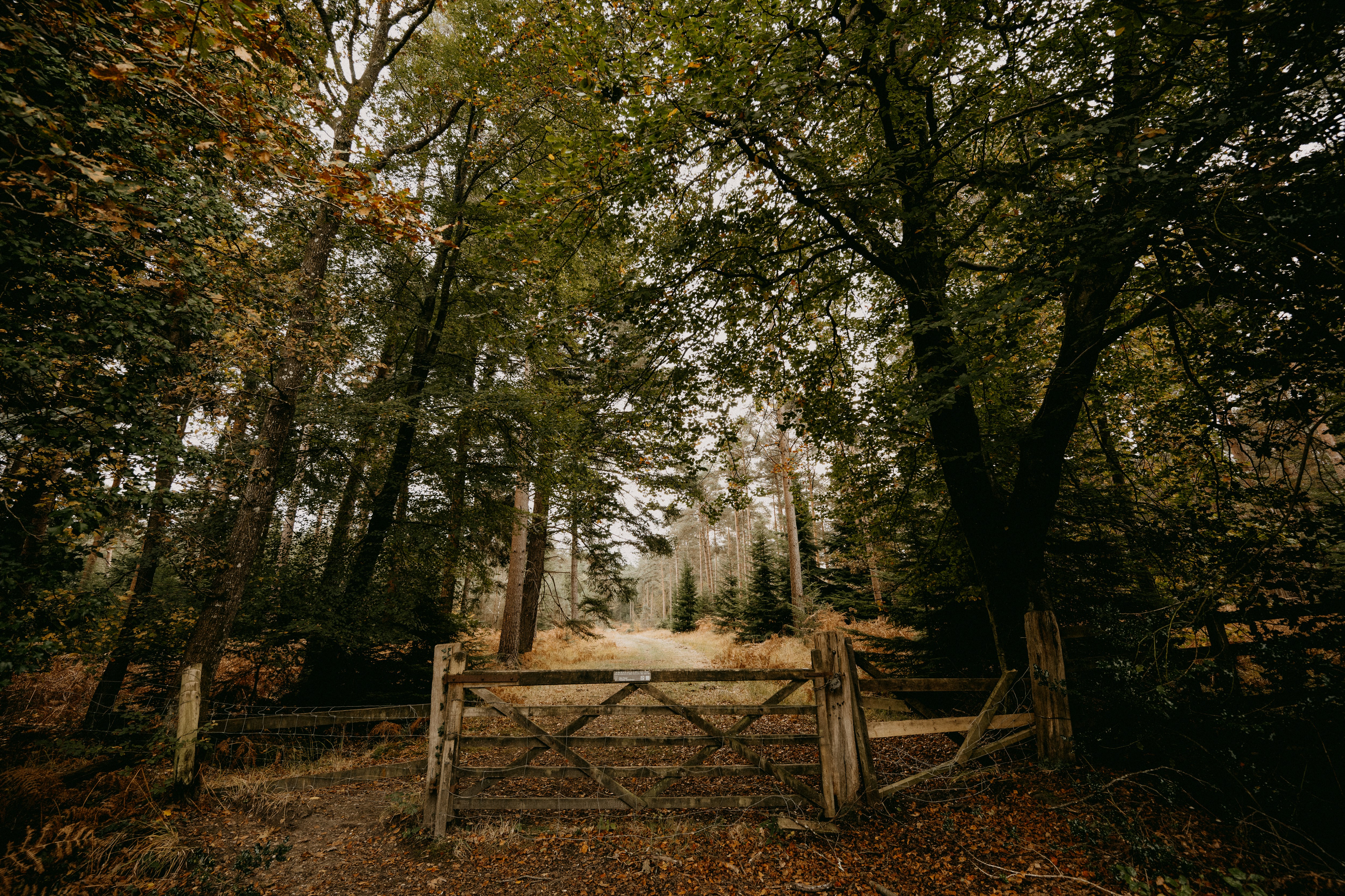 Photo by anniespratt