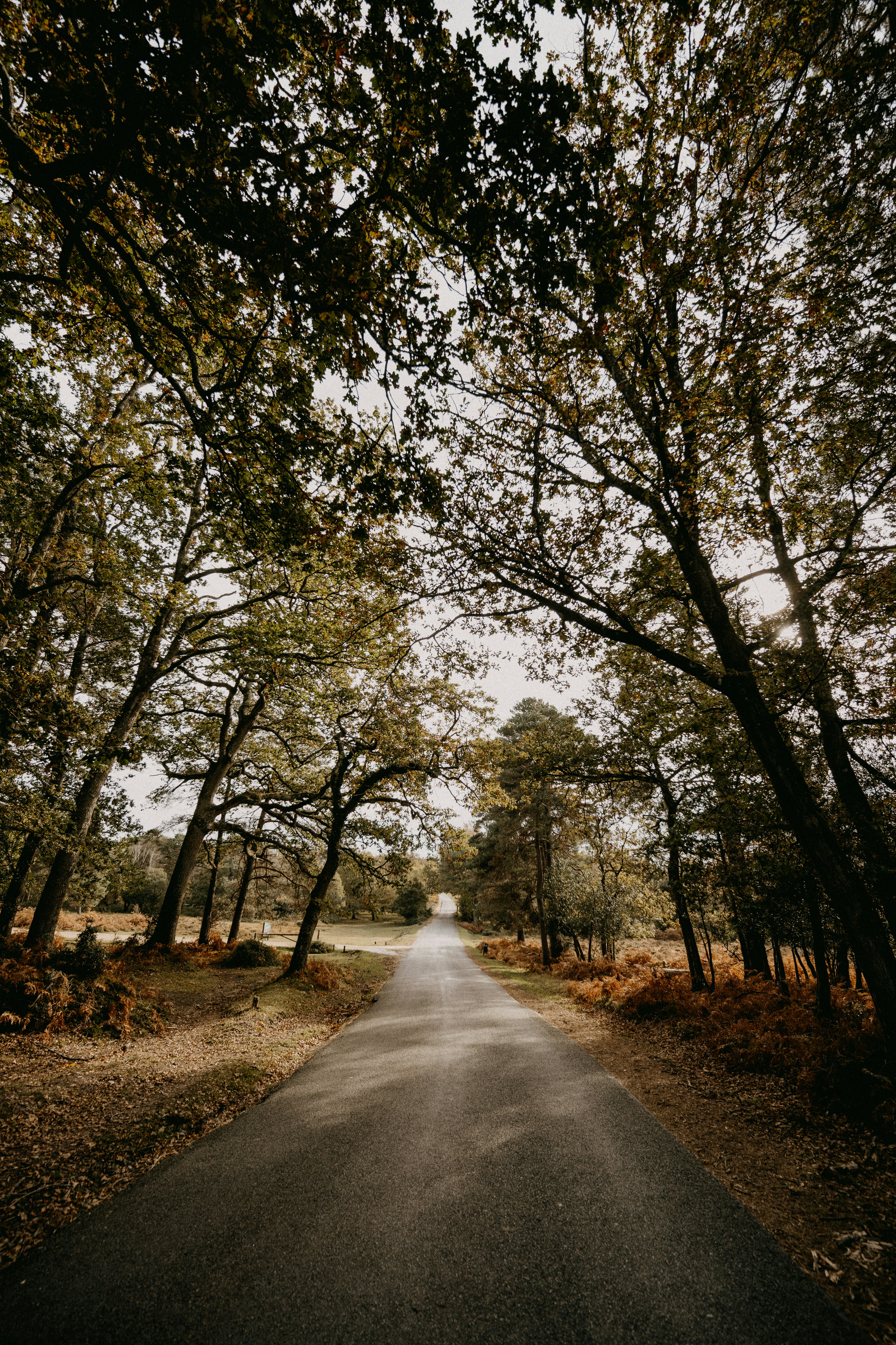 Photo by anniespratt