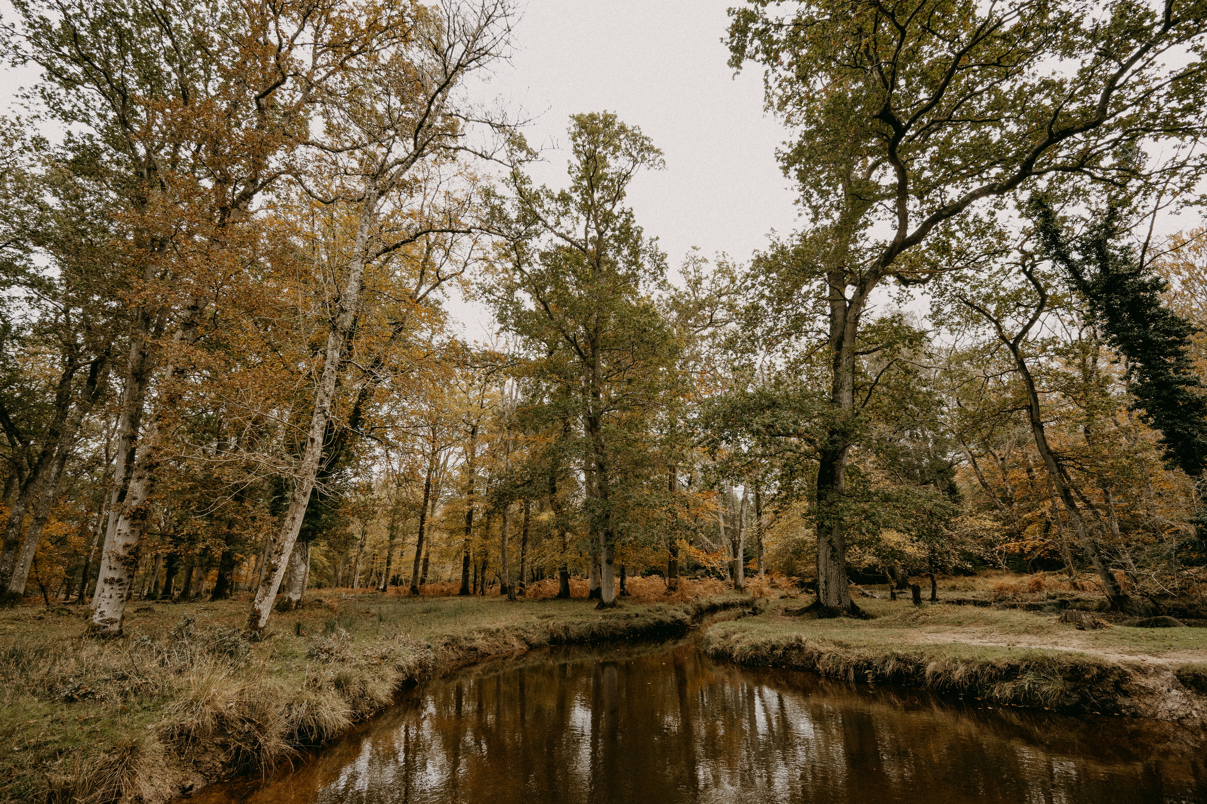 Photo by anniespratt