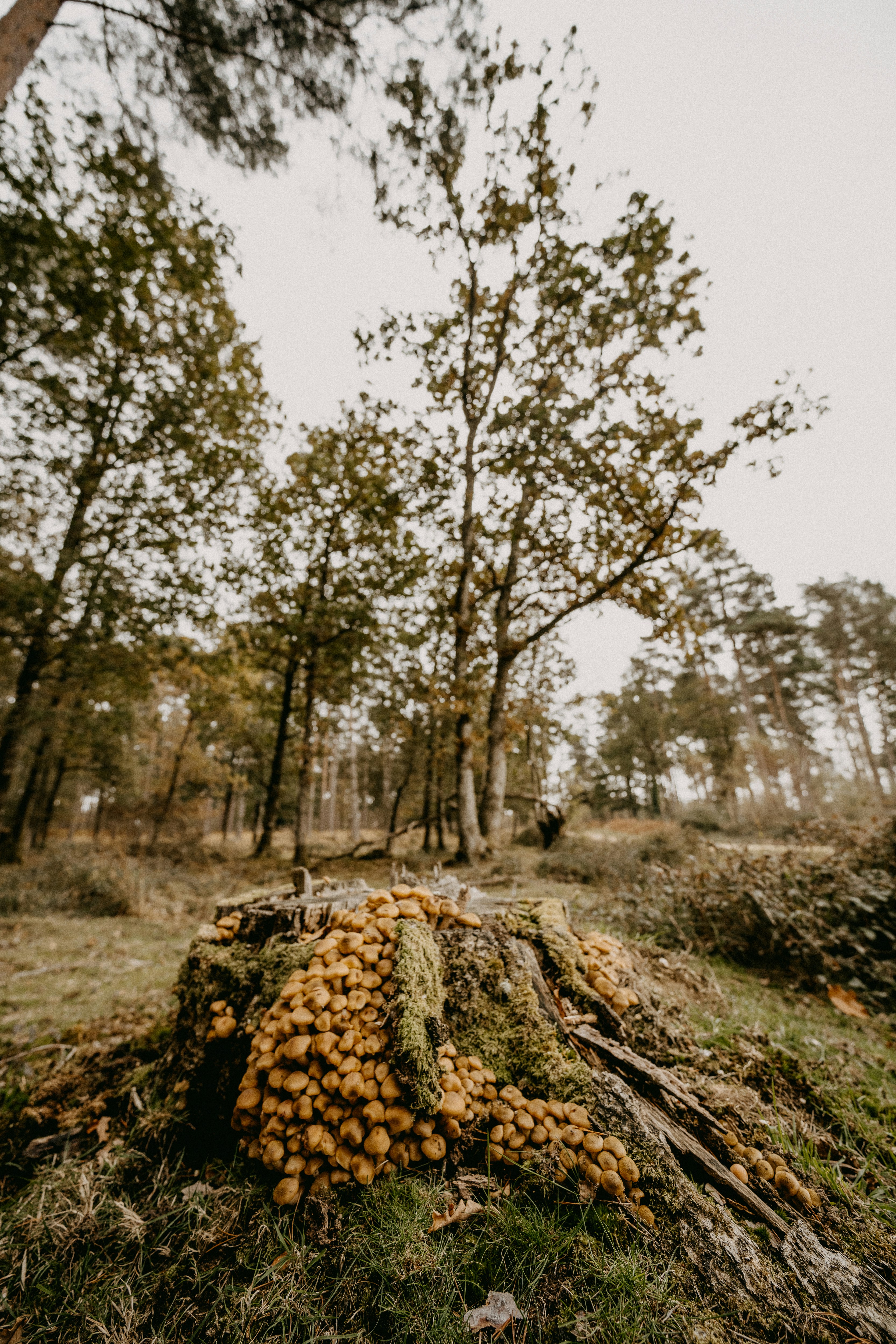 Photo by anniespratt