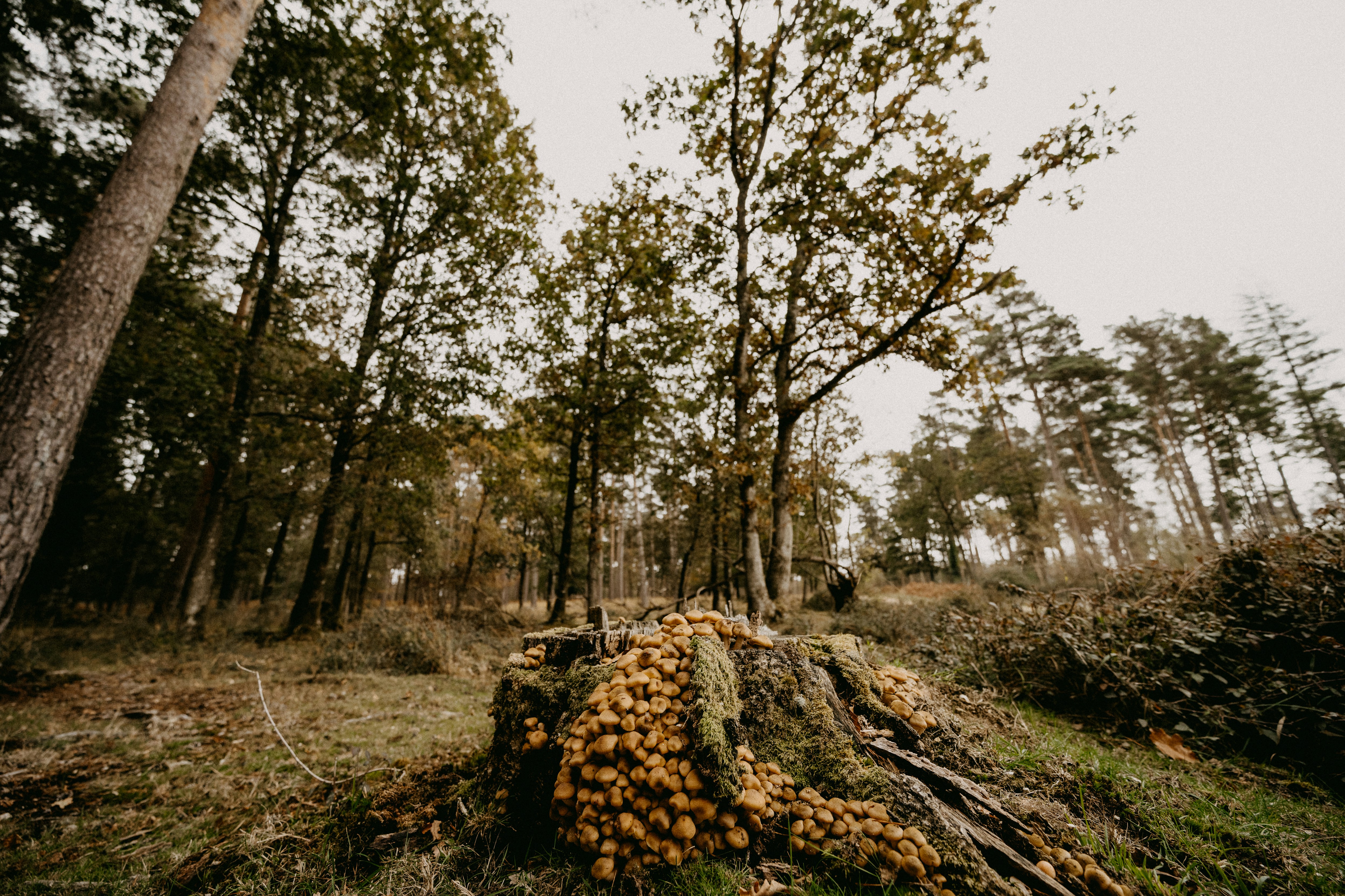 Photo by anniespratt