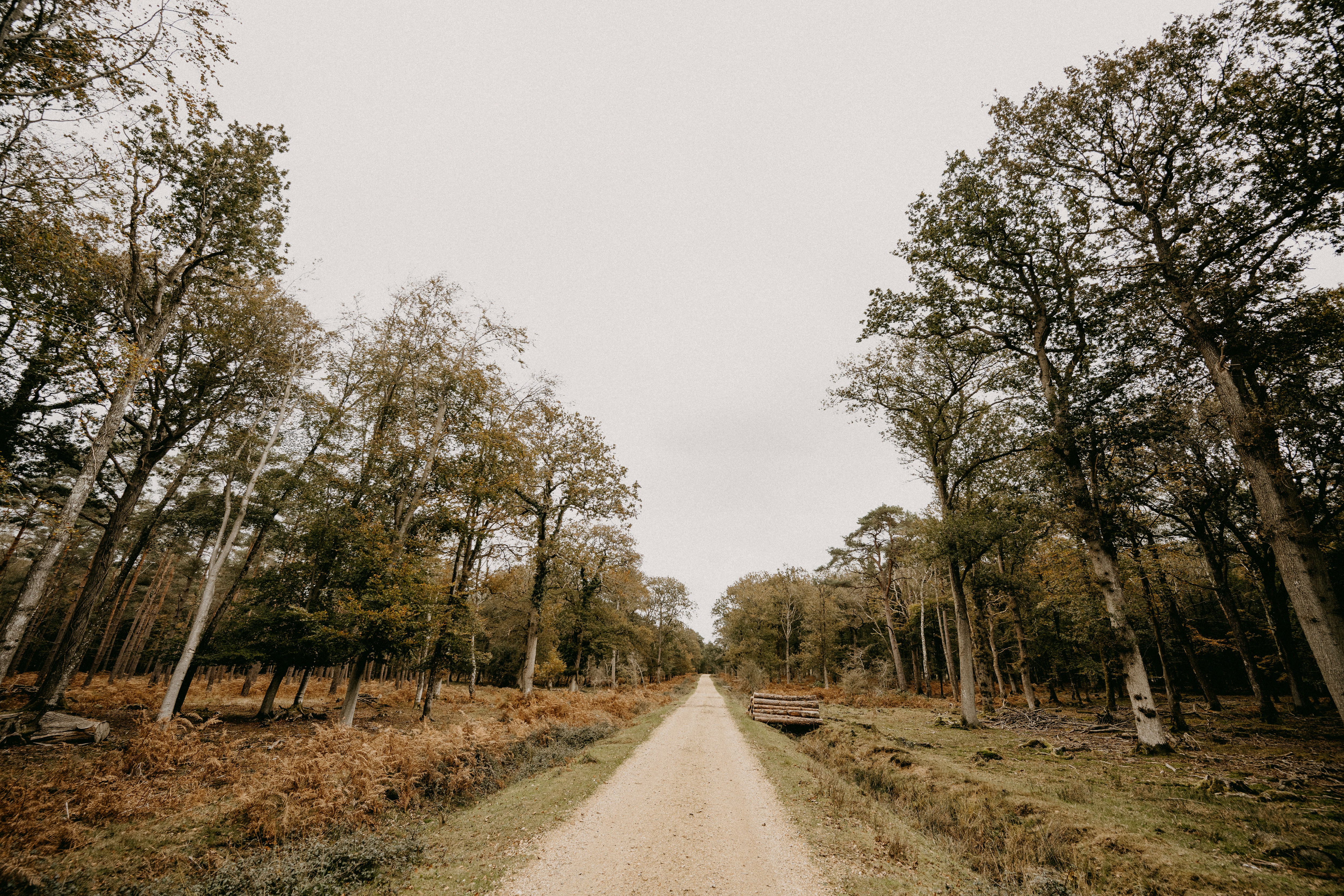 Photo by anniespratt