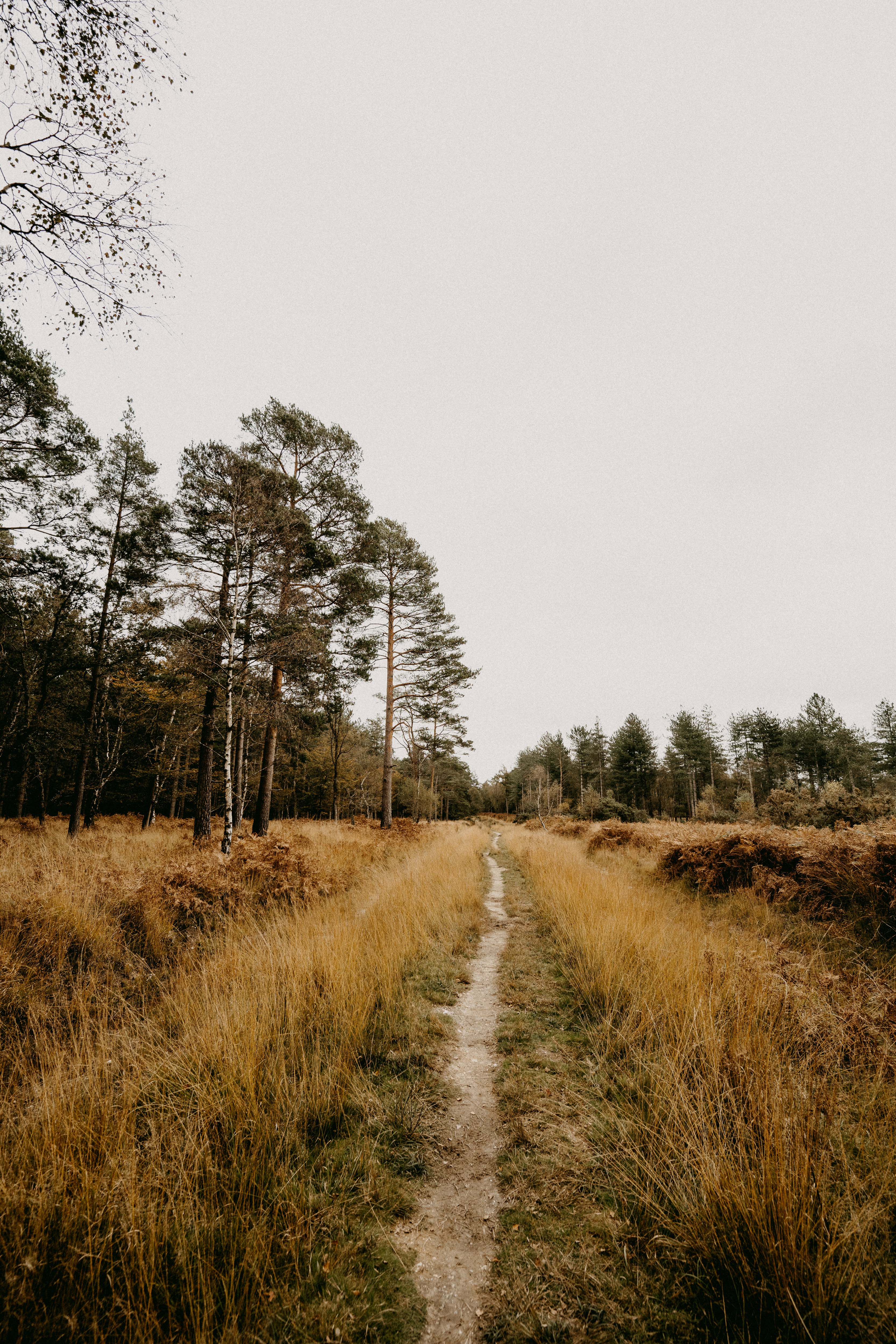 Photo by anniespratt