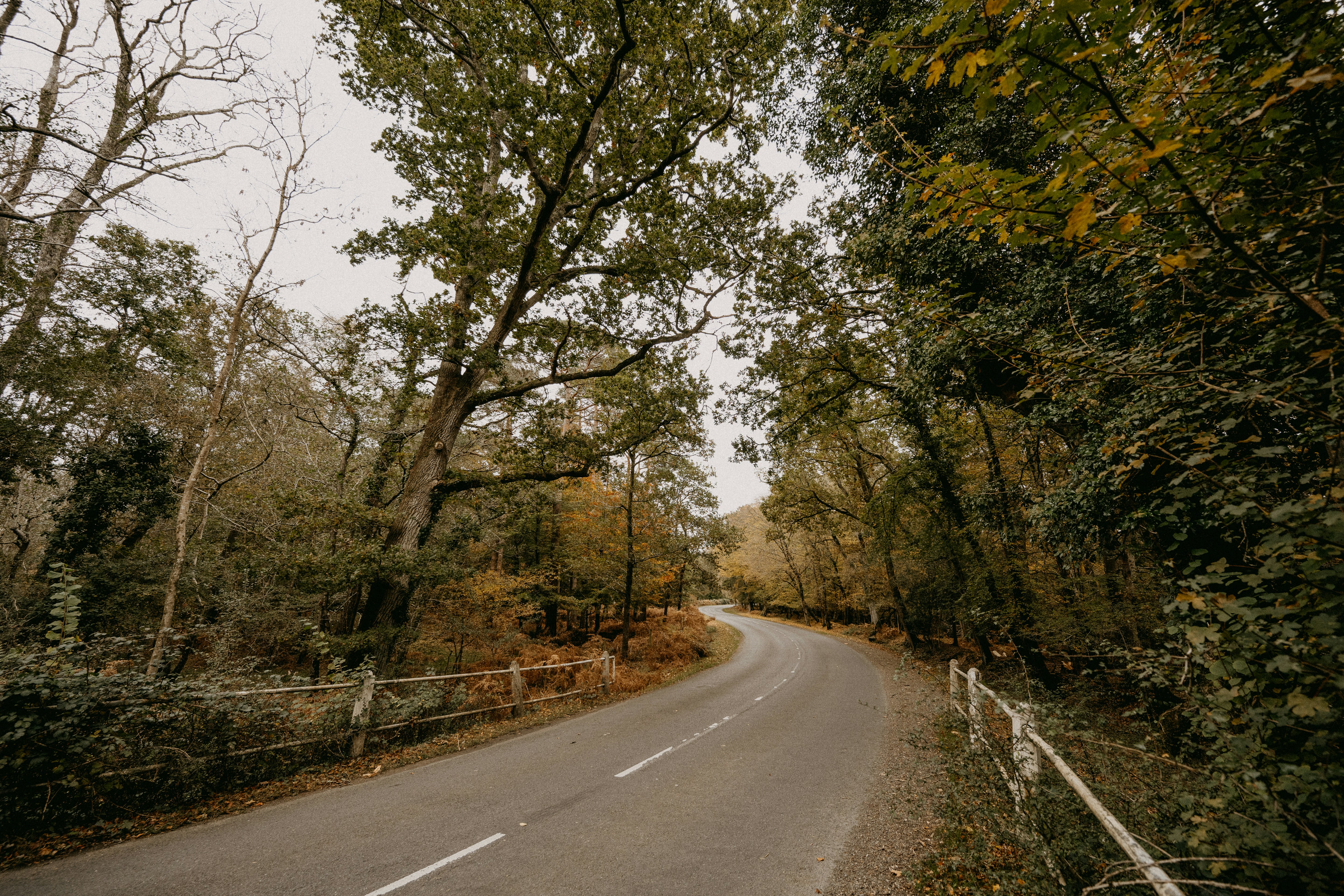 Photo by anniespratt