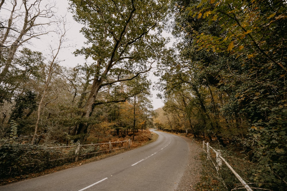 a road in the middle of a wooded area