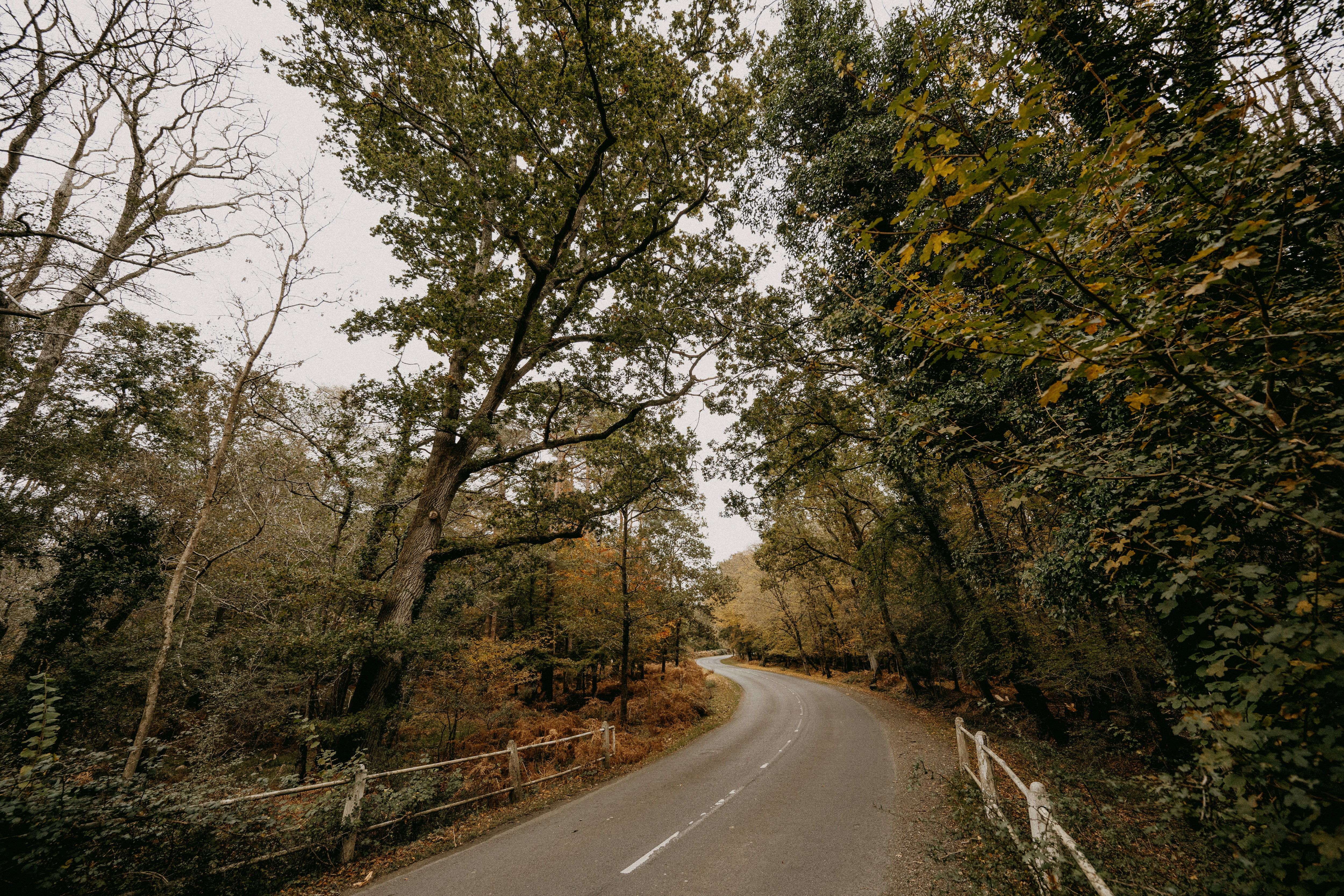 Photo by anniespratt