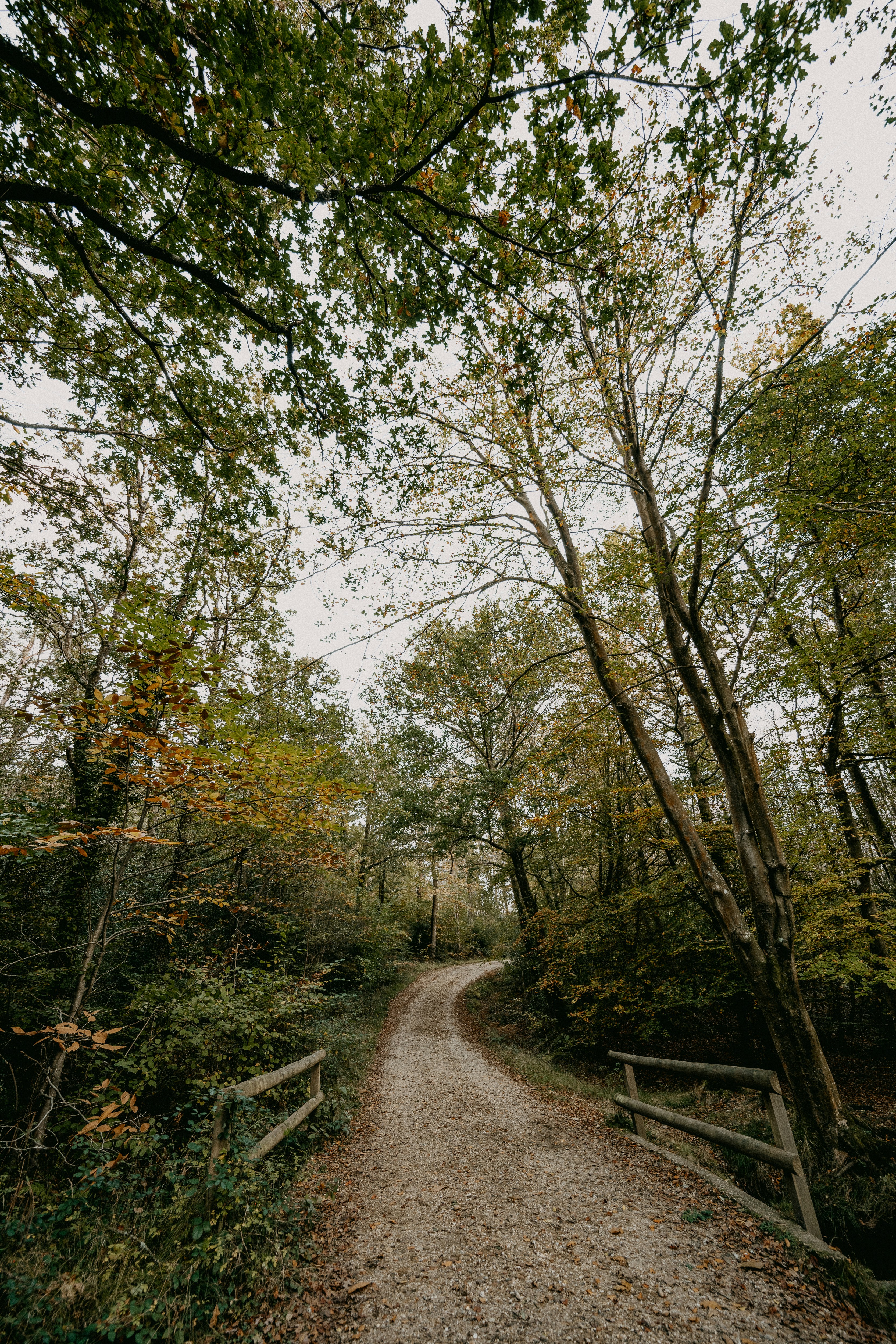 Photo by anniespratt