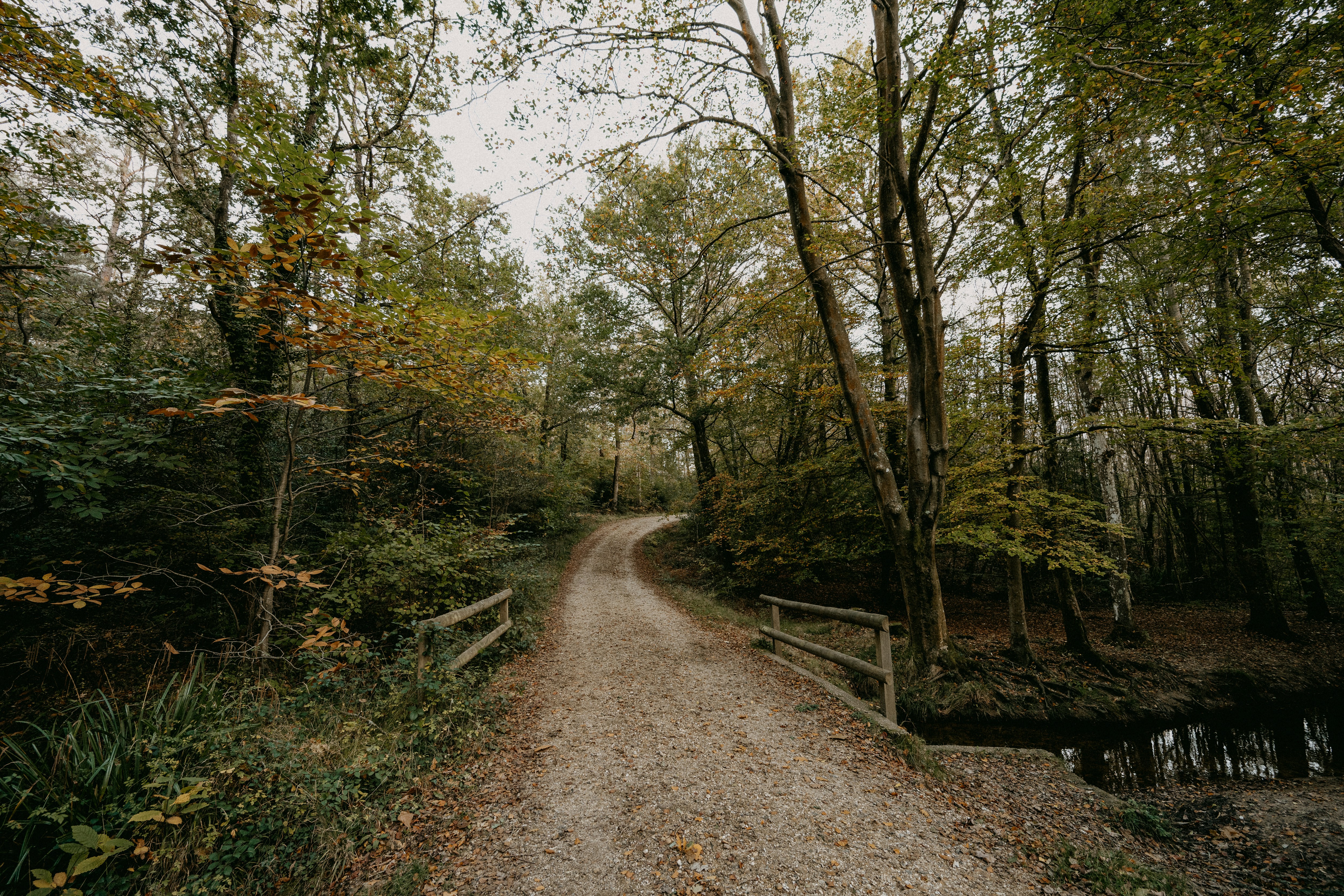 Photo by anniespratt