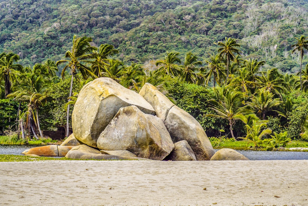 모래 사장 위에 앉아있는 큰 바위