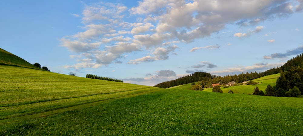 a green field with trees and clouds in the background