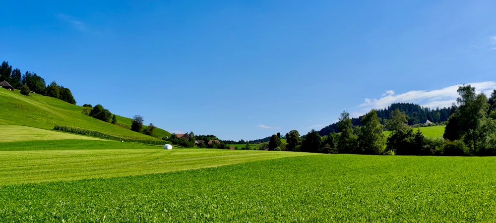 a green field with trees in the background