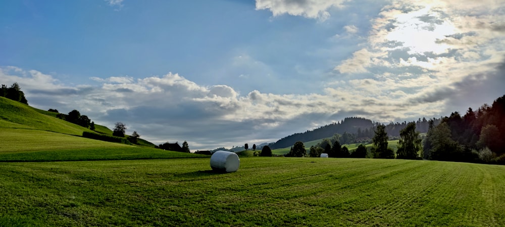 a grassy field with a bale of hay in the foreground