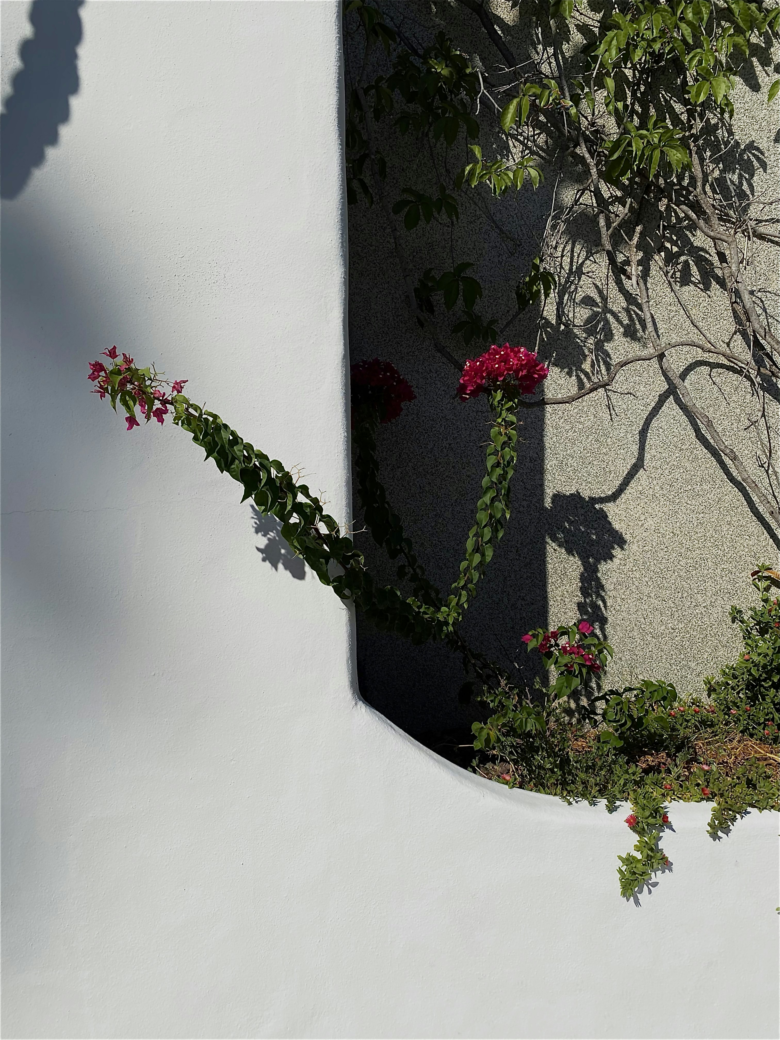 Photo by ksusha_kazak