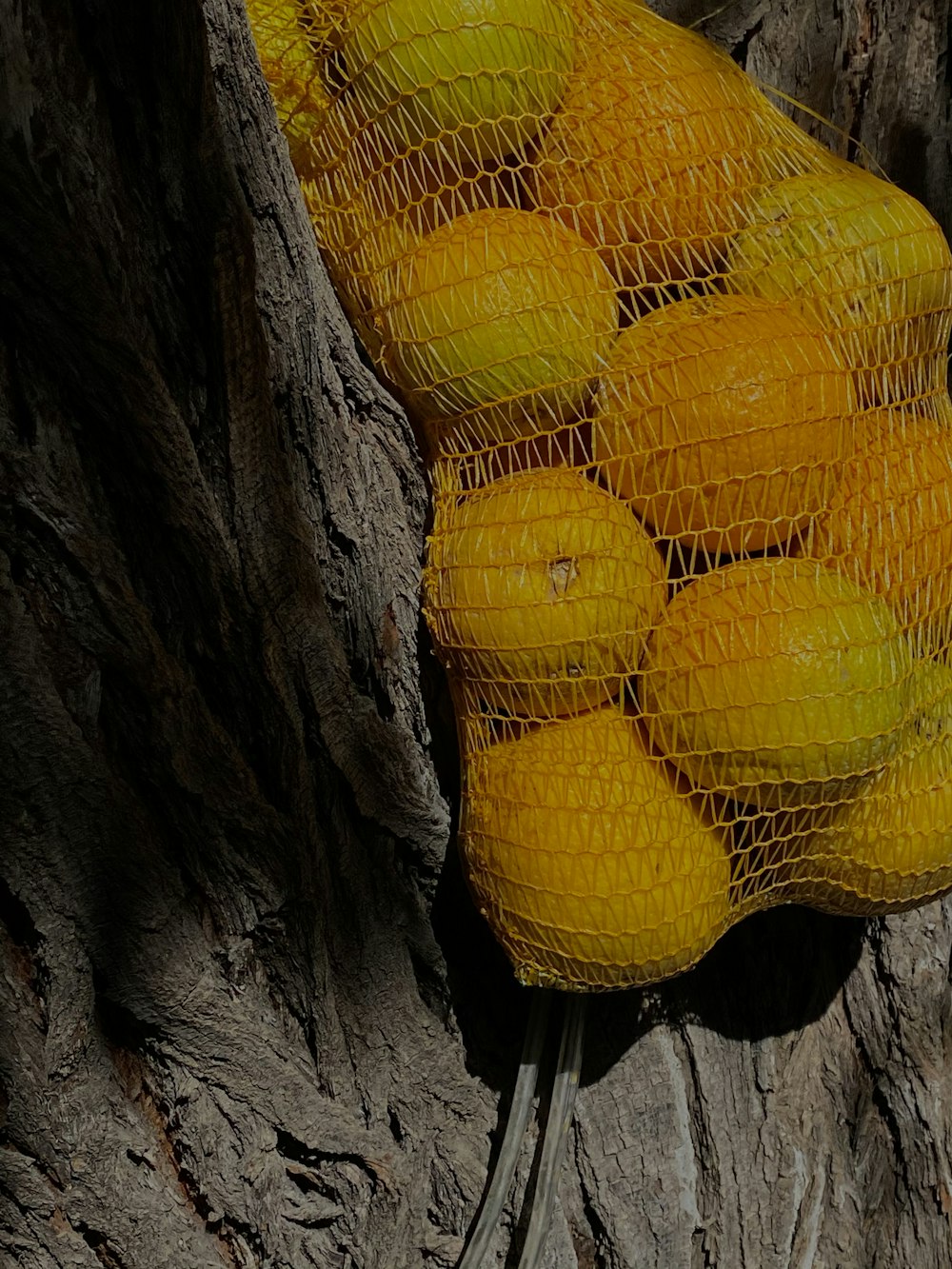 a bag of yellow fruit sitting on top of a tree