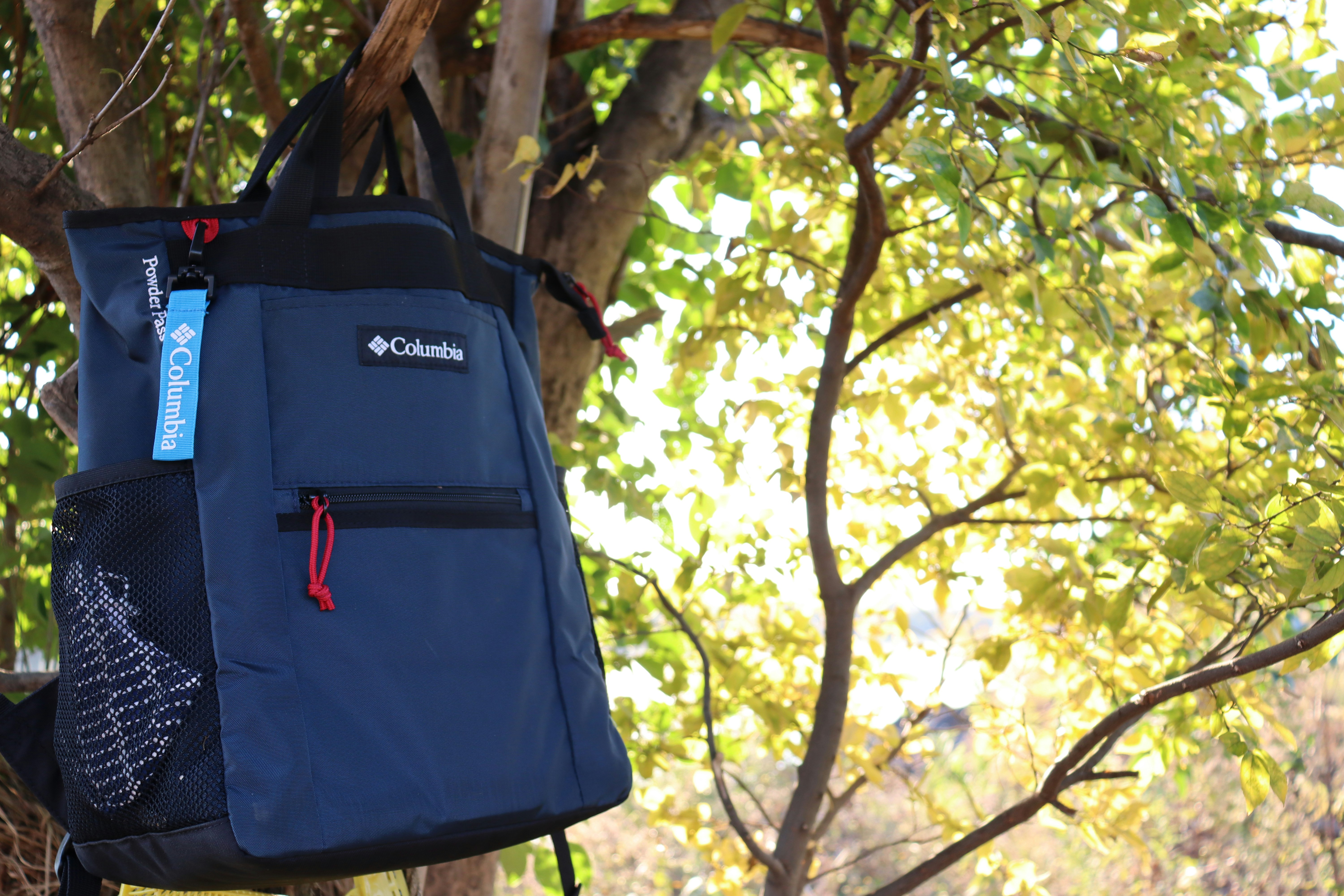 A blue backpack hanging from a tree photo – Free Bag Image on Unsplash