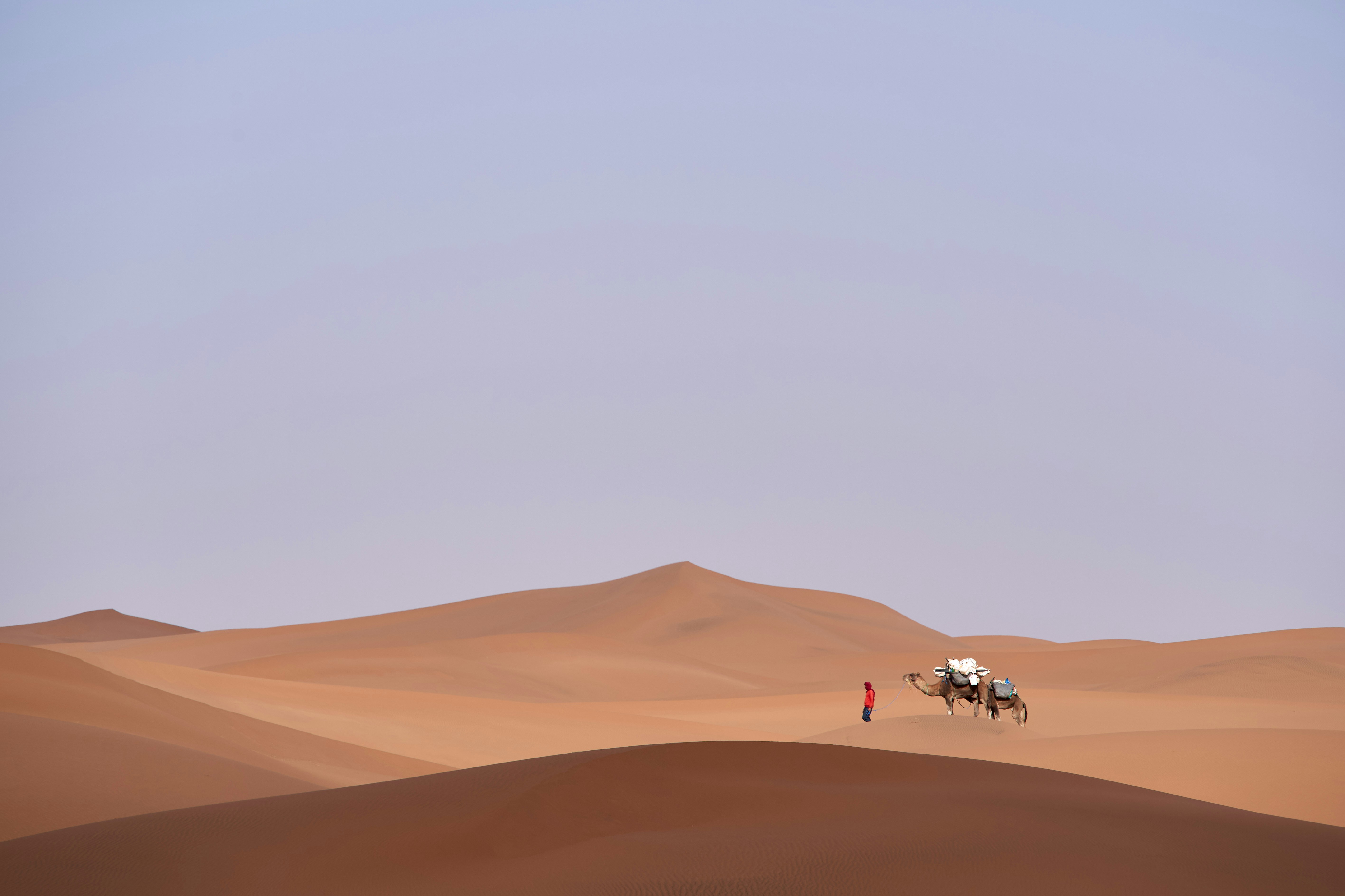 a person on a camel in the desert