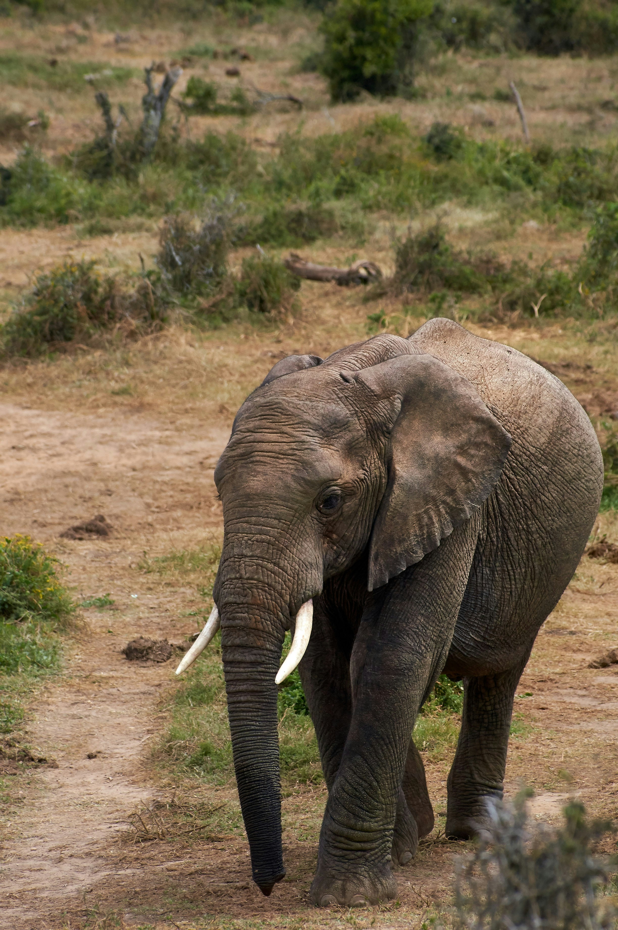 Photo by wolfgang_hasselmann