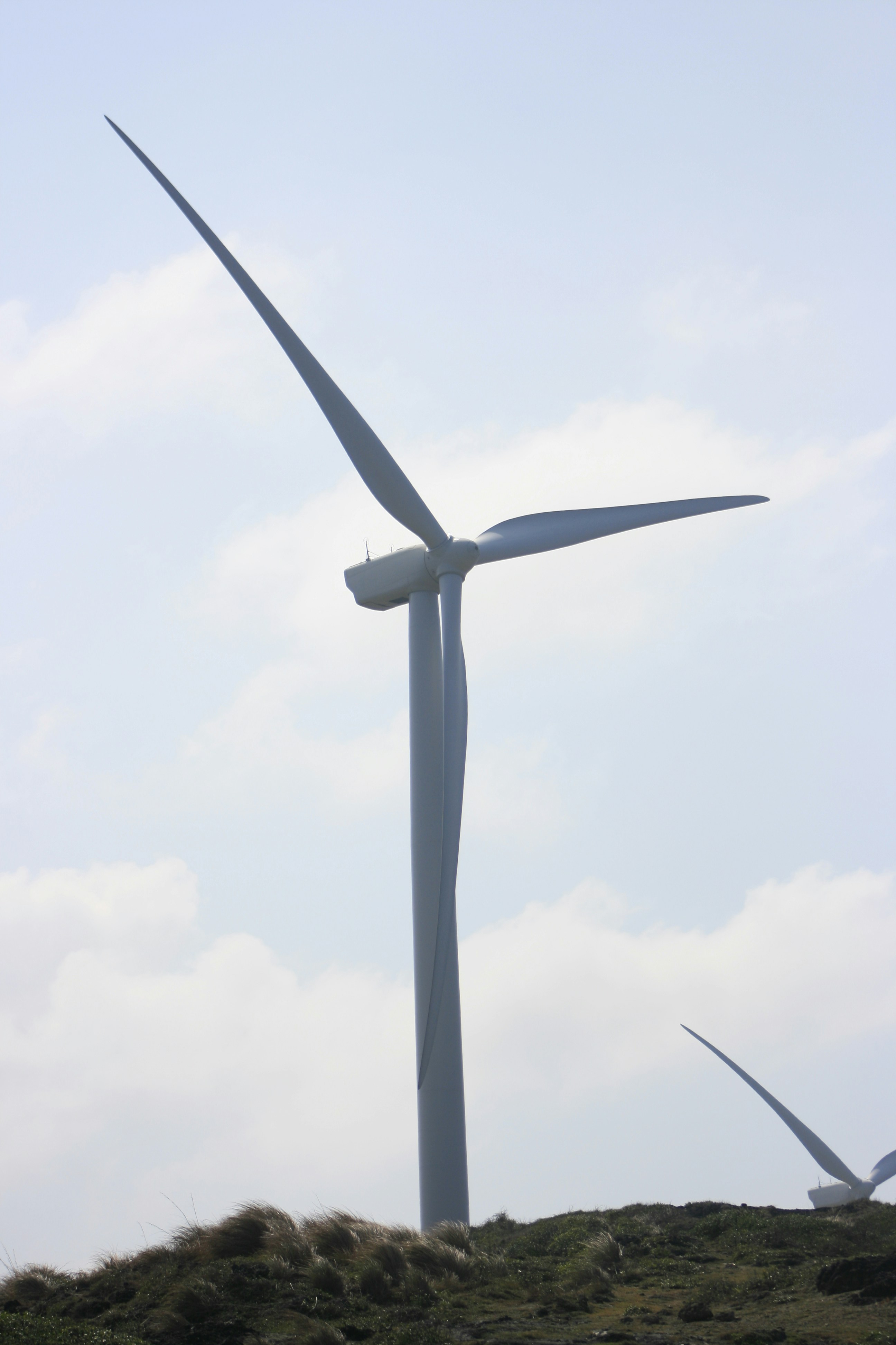 Suzlon Energy Share Price Takes a Hit Ahead of Q4 Results