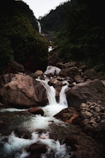 a stream of water running through a lush green forest