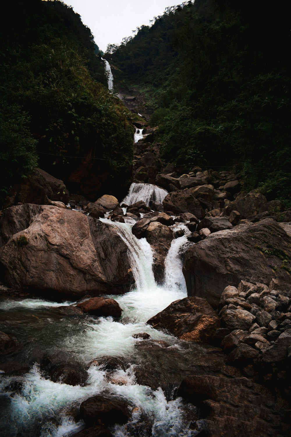 Una corriente de agua que corre a través de un exuberante bosque verde