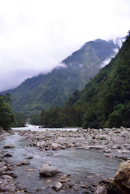 A misty mountain landscape with a calm river flowing through ancient stones and bamboo groves.