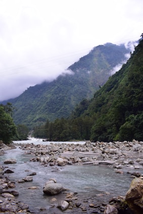 A serene vintage postcard showing a misty mountain landscape with a winding river.