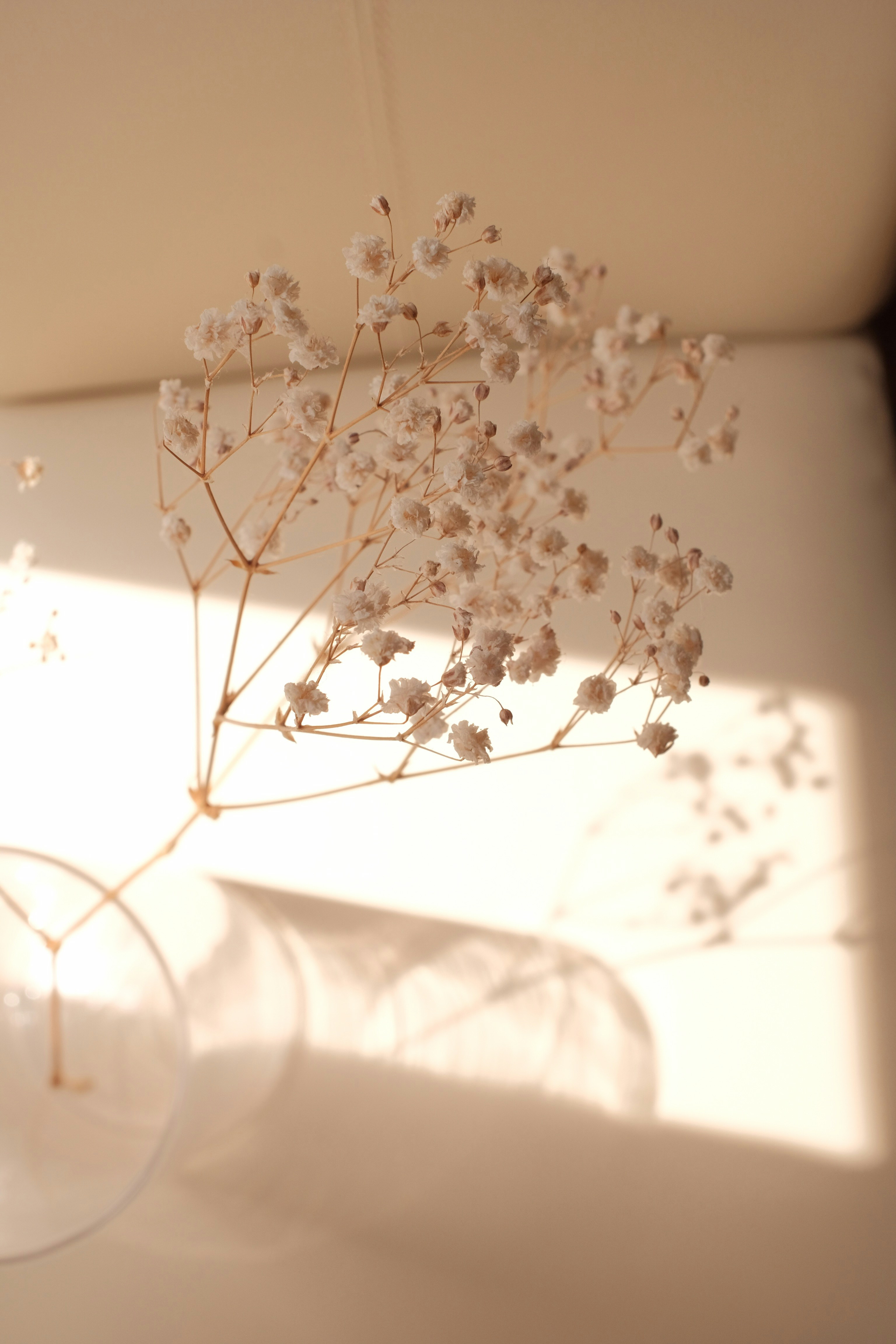 White and cream floral arrangement in glass vase with soft natural lighting