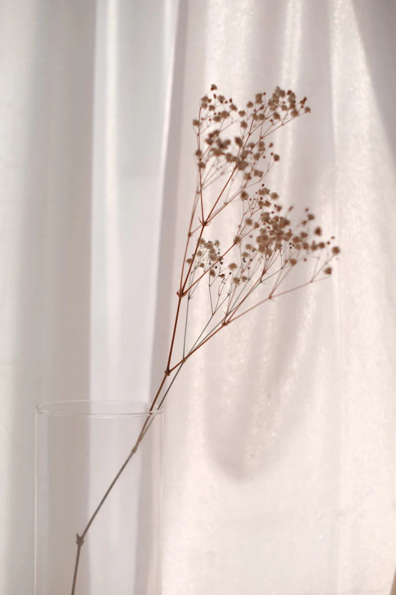 Baby's breath against a sheer curtain