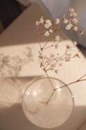 a glass vase with some white flowers in it