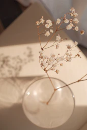 a glass vase with some white flowers in it