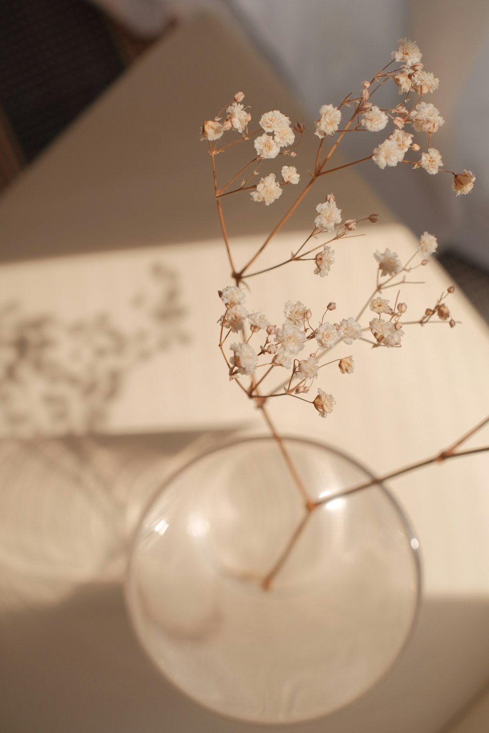 un vase en verre avec quelques fleurs blanches dedans