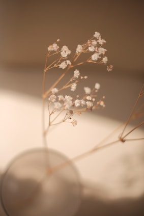 Delicate white flowers with thin, light brown stems are placed in a softly focused, blurred vase. The background is a blend of warm neutral tones, creating a gentle and serene atmosphere.
