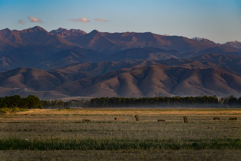 Open Kazakh steppe at dusk