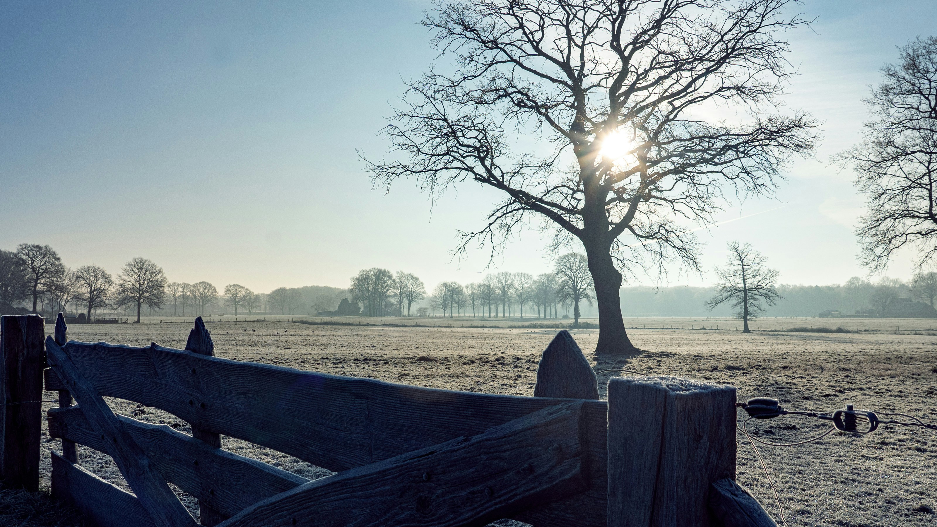 Photo by theo_aartsma