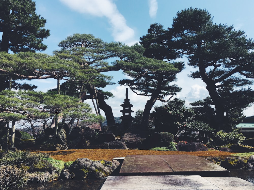 a park with trees, rocks and a walkway