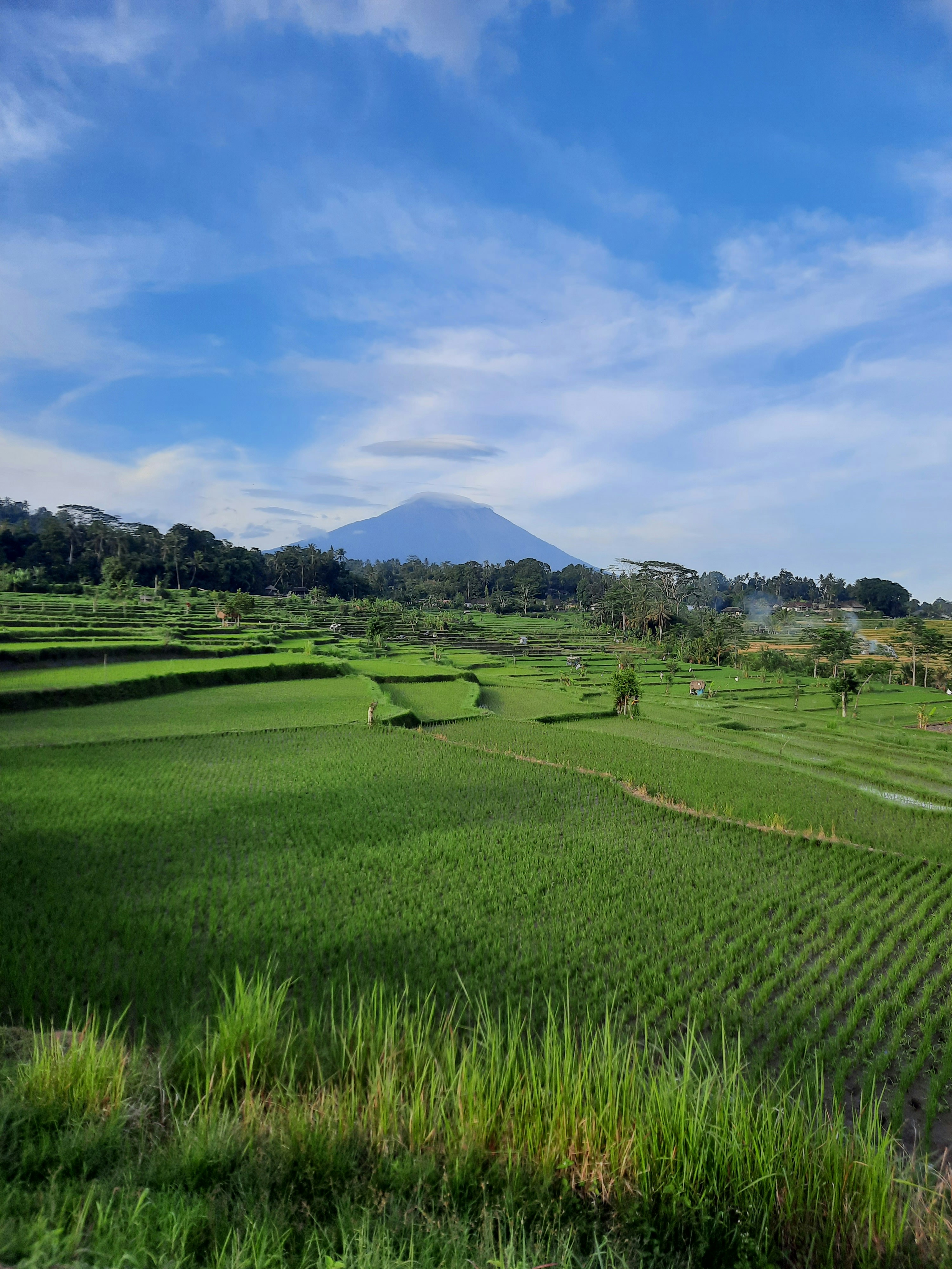 Private Bali Adventure