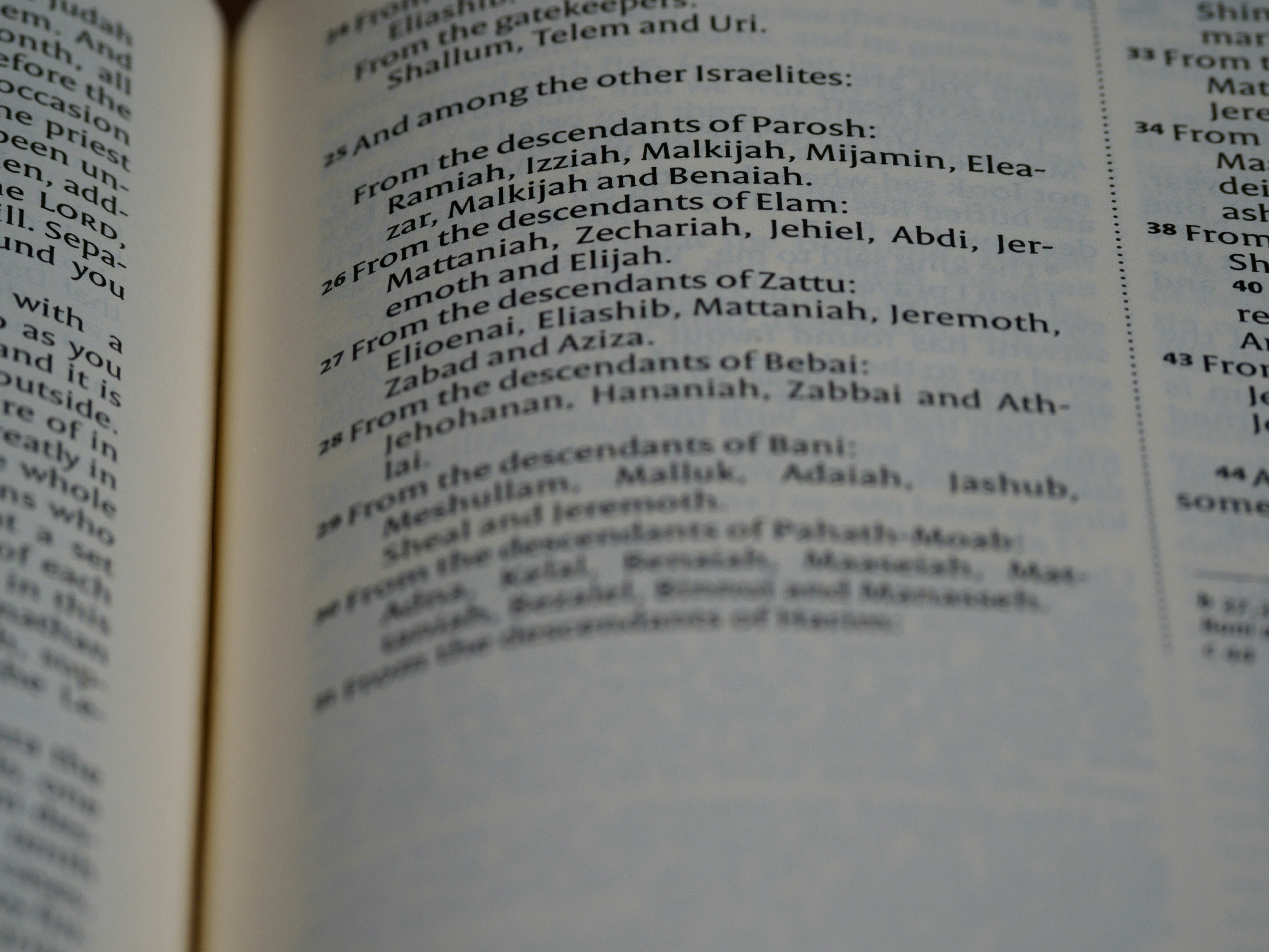 photo-1637847967354-3ba913096228?ixid=M3wxMjA3fDB8MXxzZWFyY2h8MTJ8fGRhZnRhciUyMGJ1bmNpc3RvdG98ZW58MHx8fHwxNzUxNzEwODY4fDA\u0026ixlib=rb-4.1.0