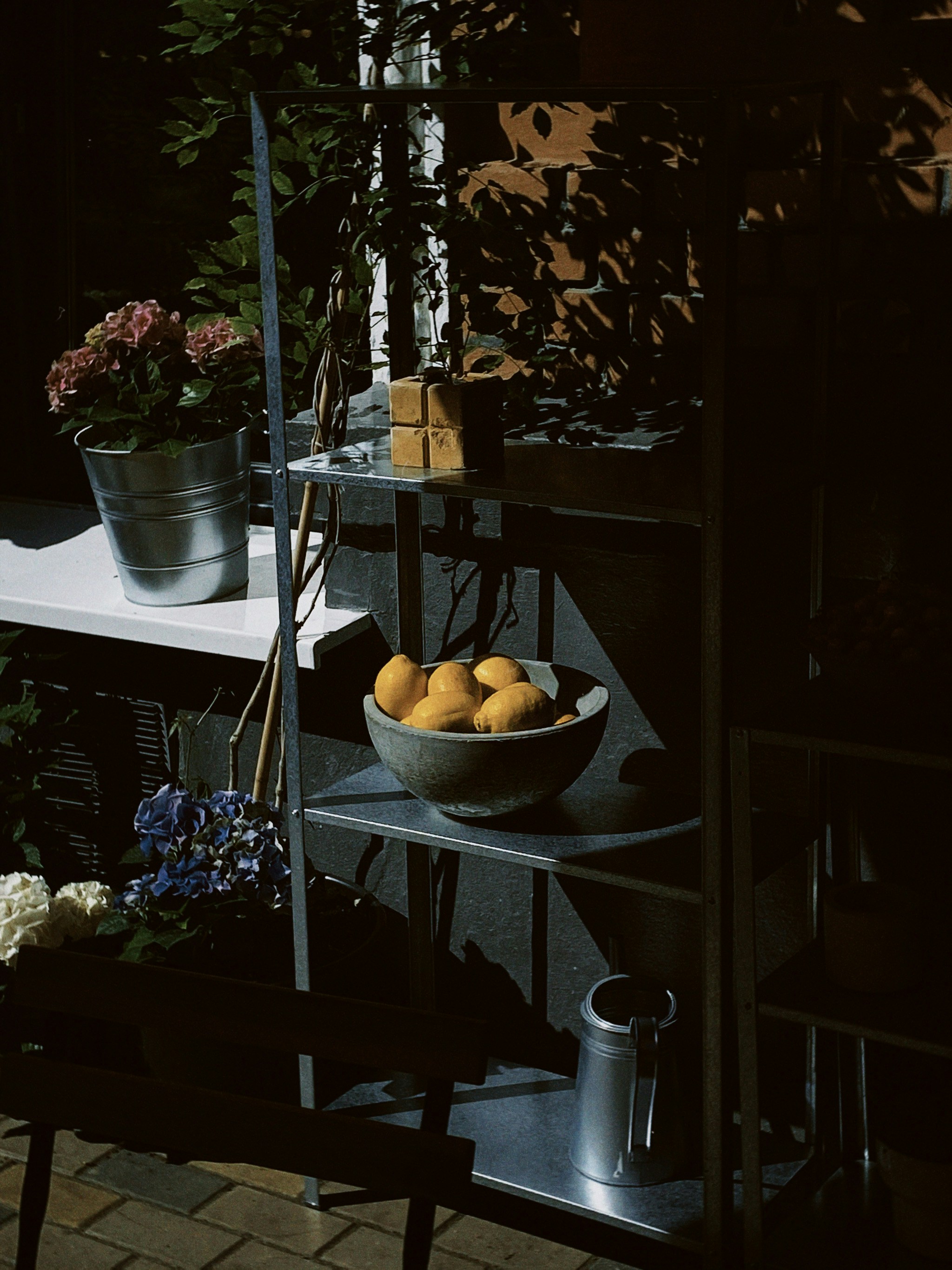 Photo by ksusha_kazak