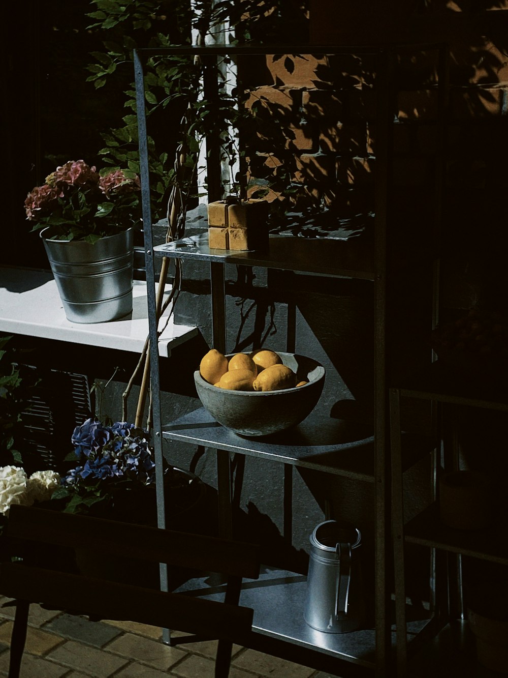 a bowl of oranges sitting on a shelf next to a potted plant
