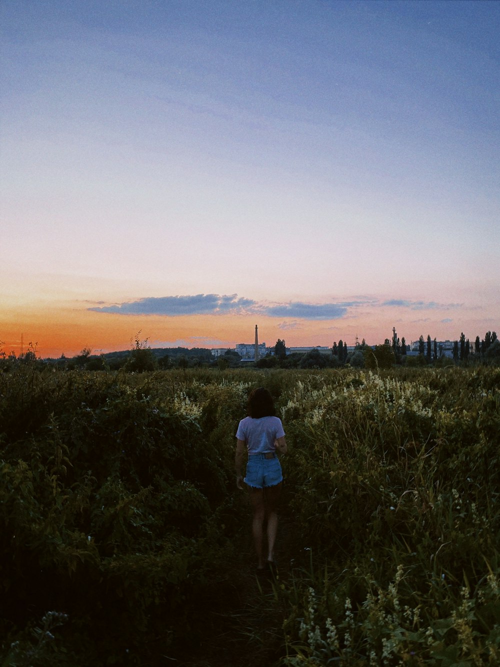 a person walking through a field at sunset
