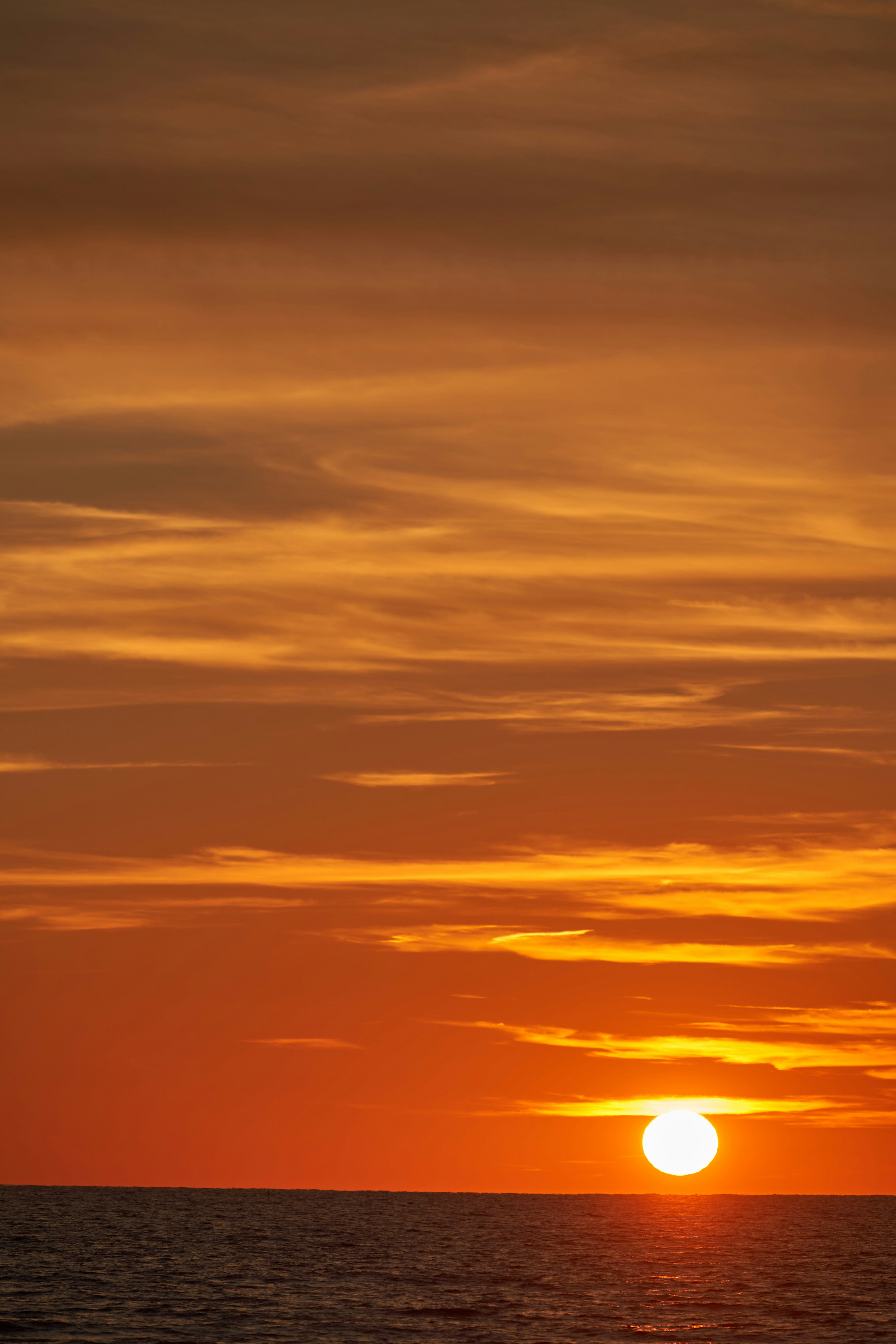 Photo by wolfgang_hasselmann