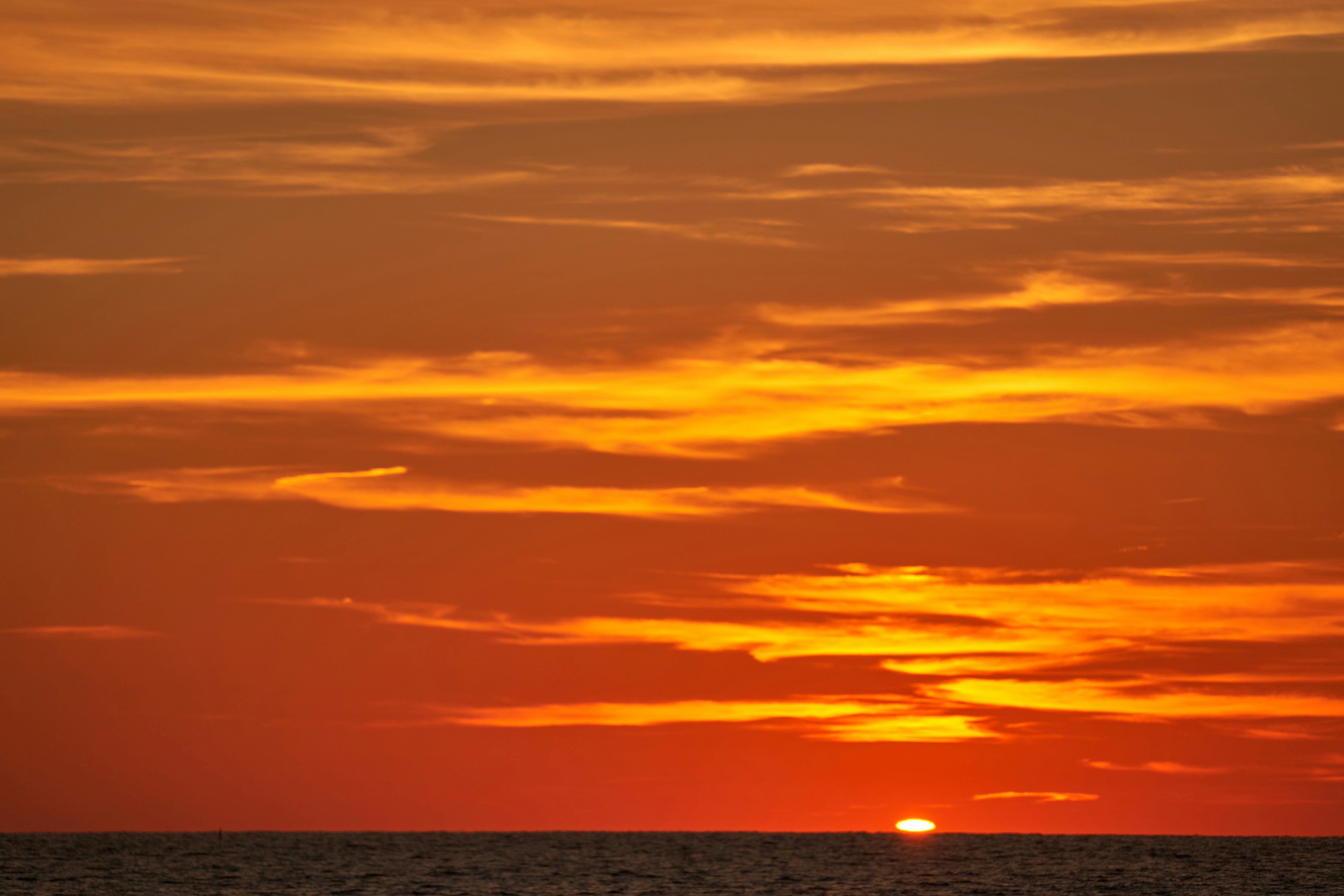 Photo by wolfgang_hasselmann