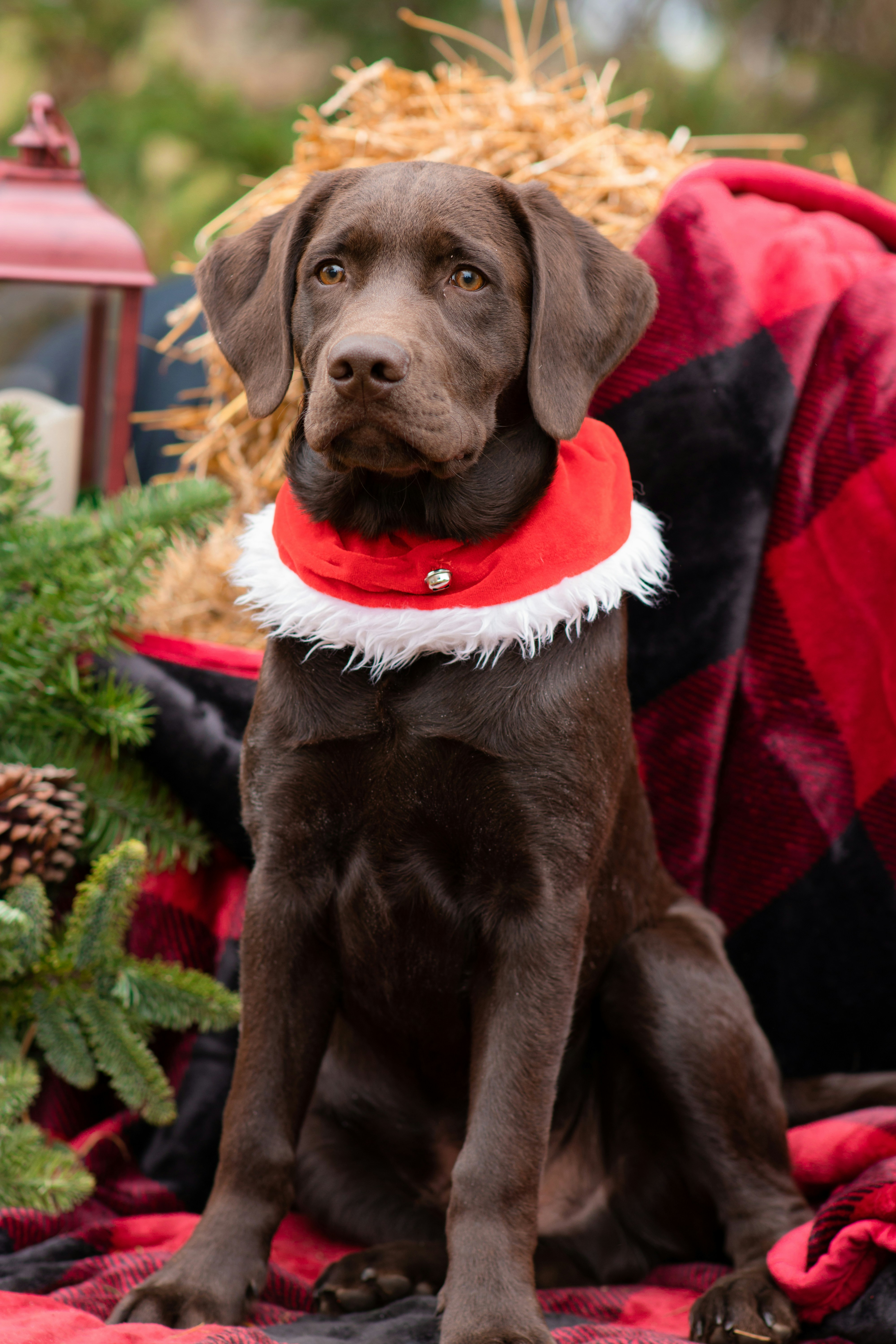 Photo by itsmaemedia