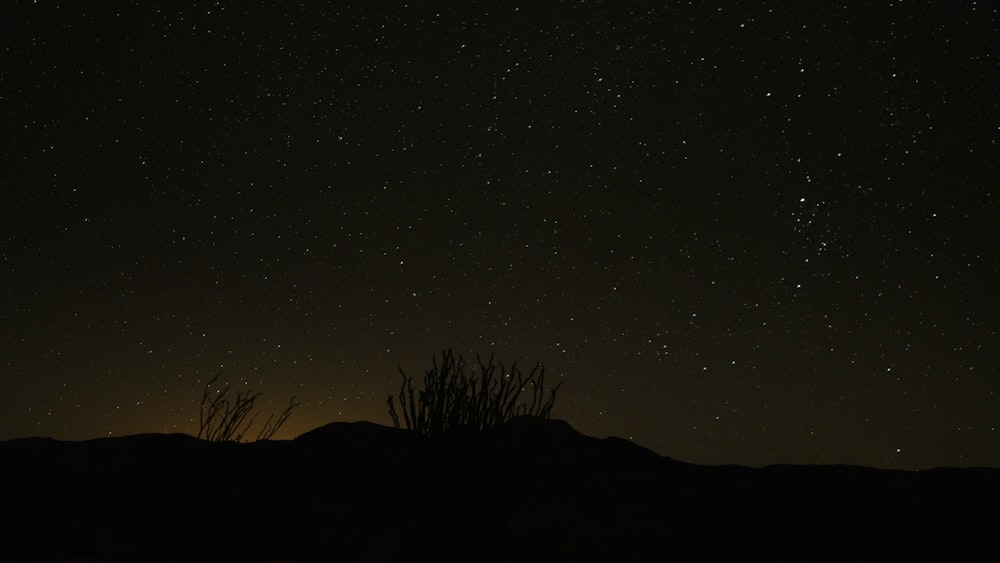Der Nachthimmel mit Sternen über einer Bergkette