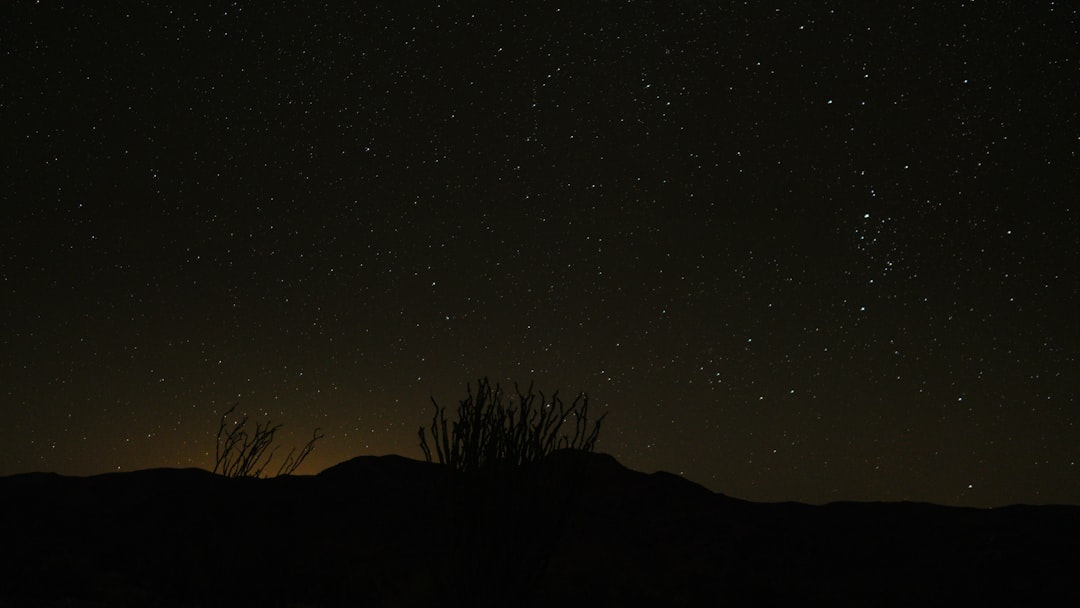 Joshua tree desert at night with stars