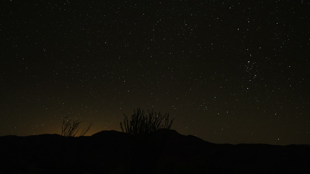 the night sky with stars above a mountain range