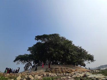 Community members planting trees on a hillside in tropical rainforest near Borobudur.